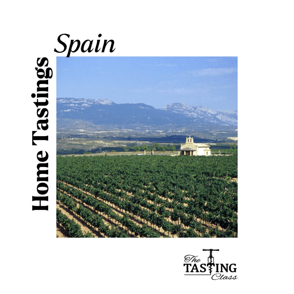 My Favourite Wine Nation: Spain
