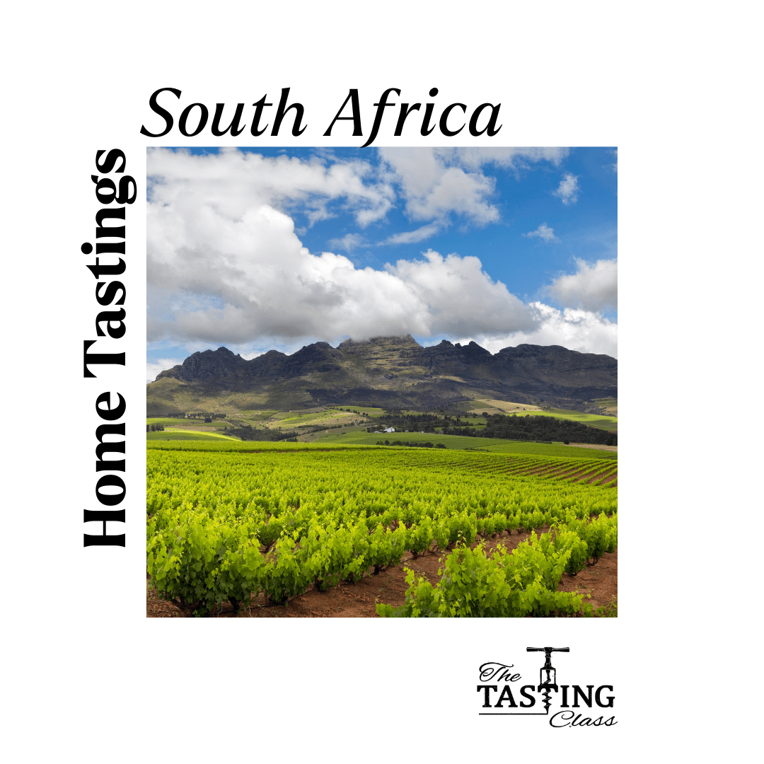 My Favourite Wine Nation: South Africa