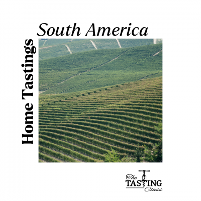 My Favourite Wine Nation: South America